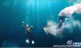 蓝色海洋的传说在线观看,探寻神秘海域的奇幻之旅